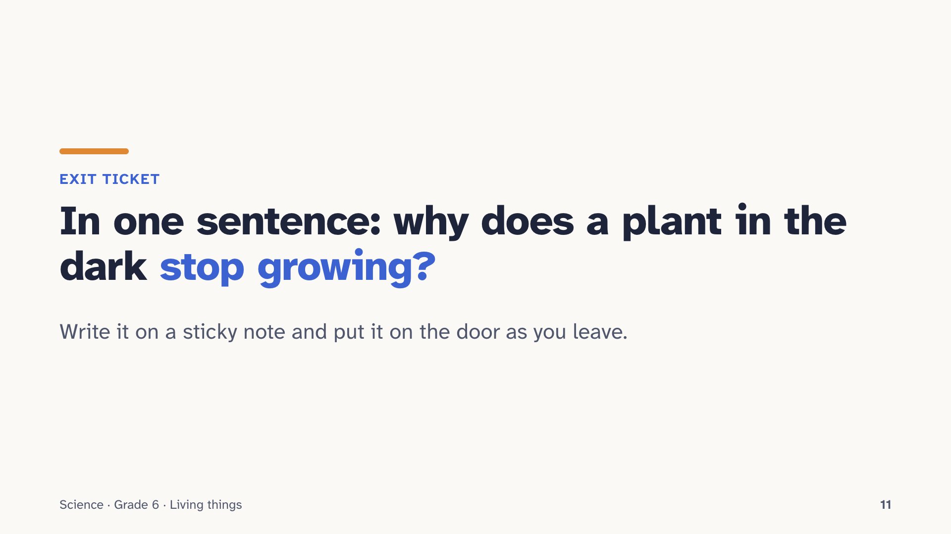 Slide 11