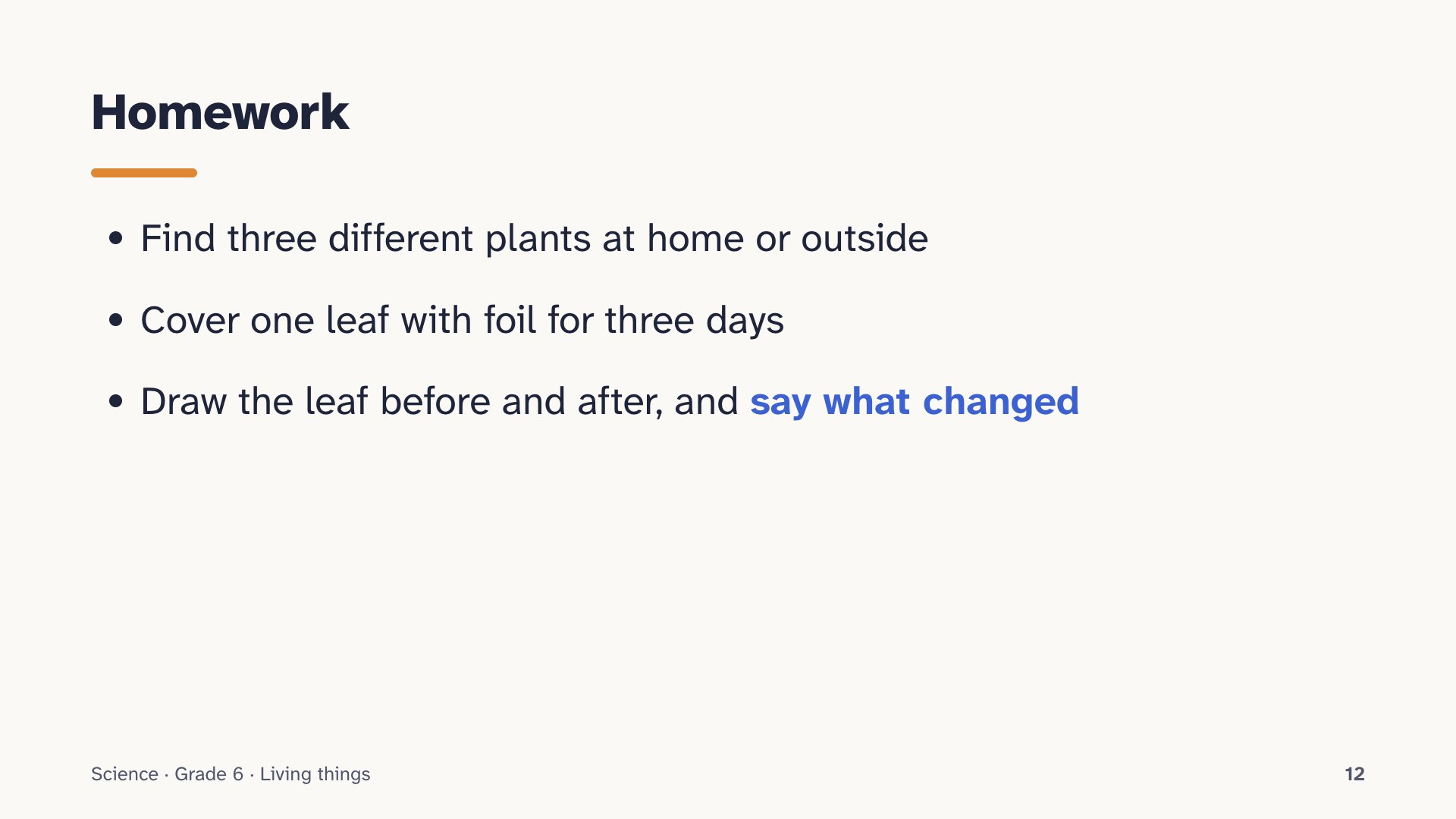 Slide 12