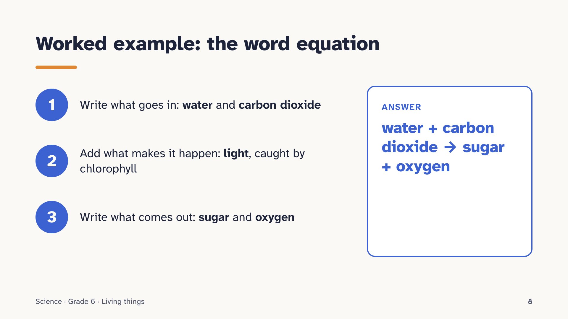 Slide 8