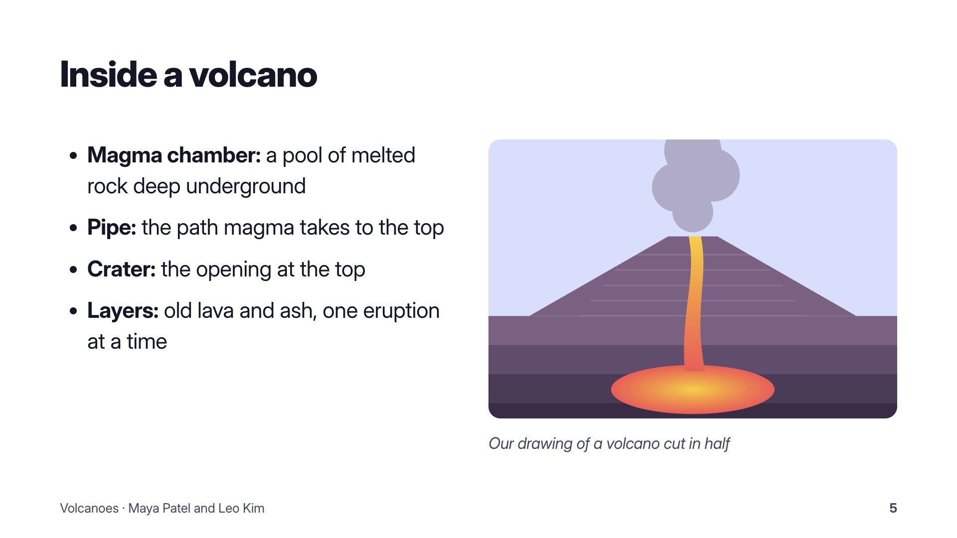 Slide 5
